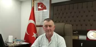 Fındıkta Randıman Artışı ve Kahverengi Kokarca ile Mücadele