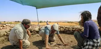 Diyarbakır'da 9.500 Yıllık Kamusal Yapı Bulundu