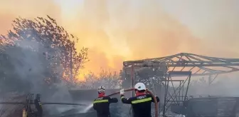 Gönüllü Ceza İnfaz Personeli Orman Yangınlarına Müdahale Etti