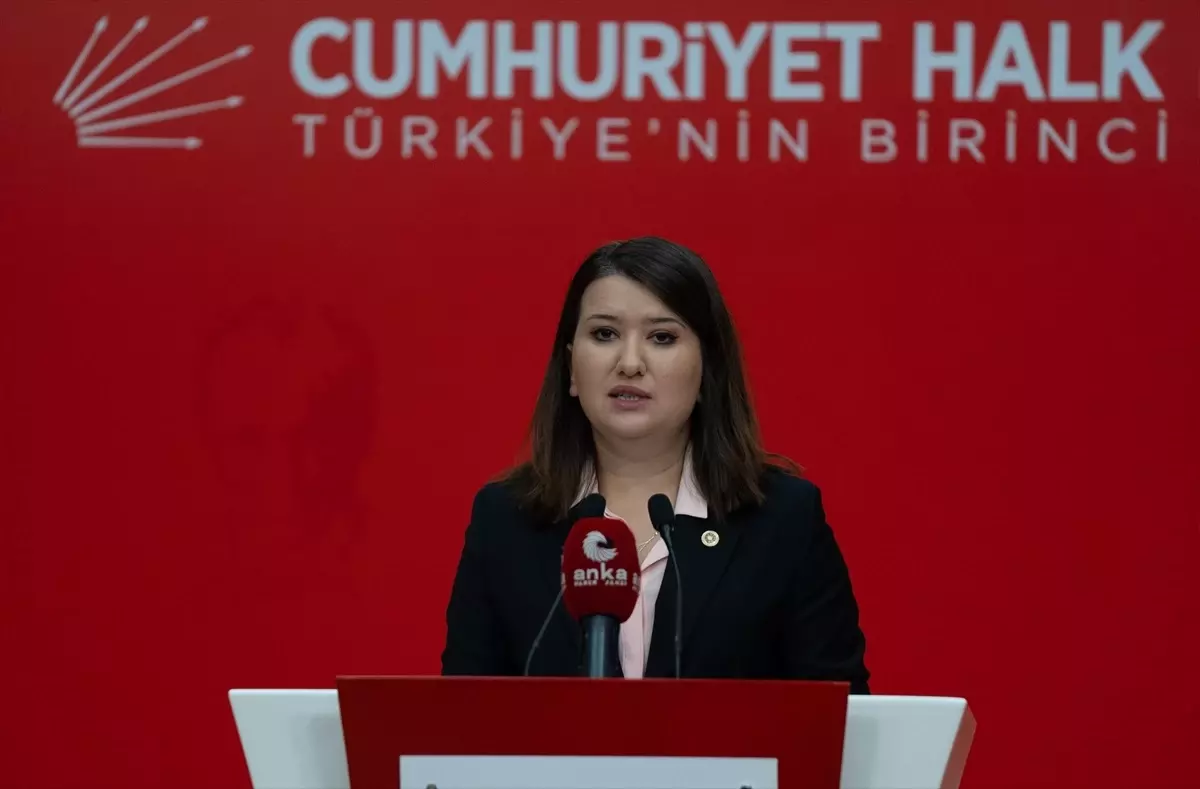 CHP’den İfade Özgürlüğü Vurgusu