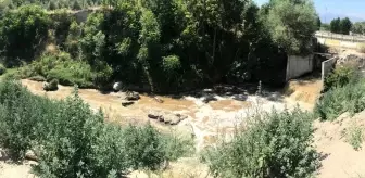 Denizli Belediyesi'ne Çevre İhlali Nedeniyle Ceza