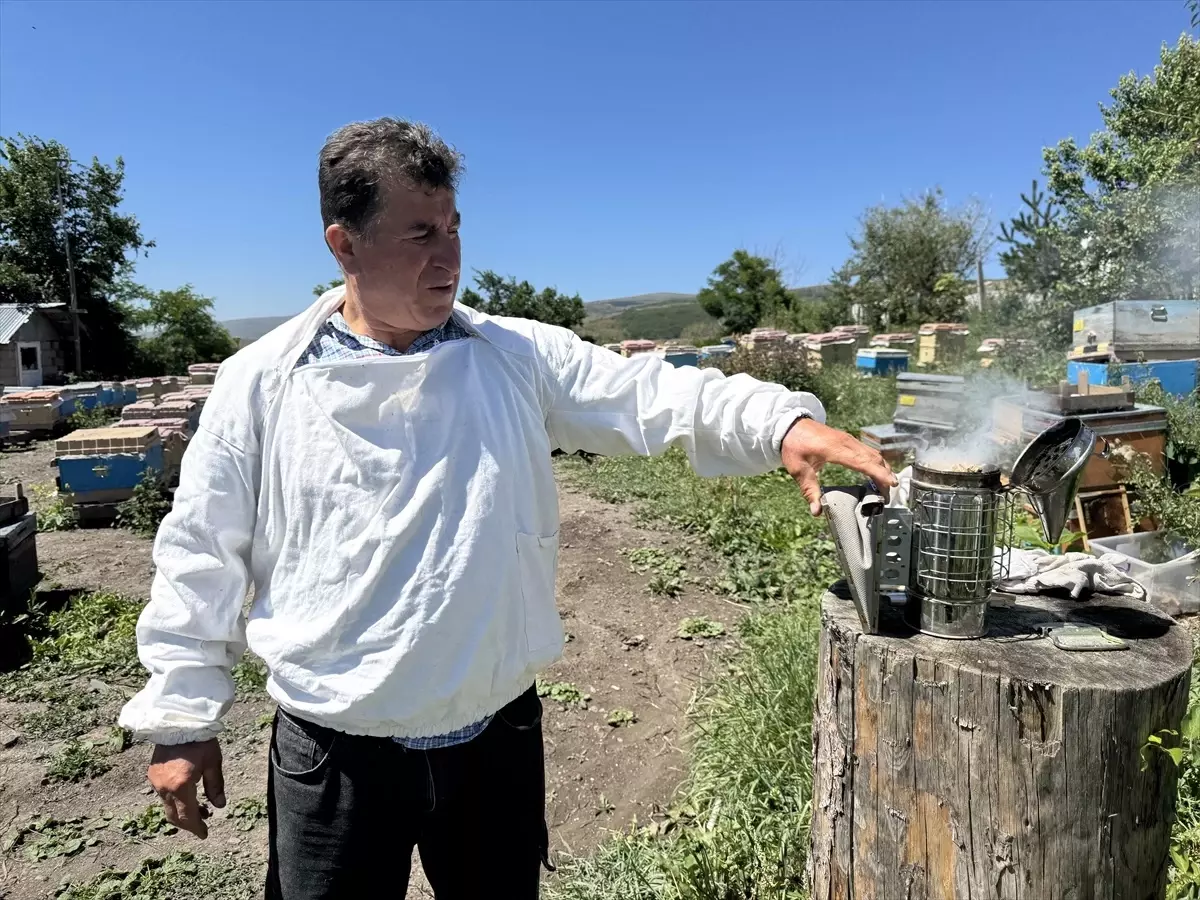 Ardahan Çiçek Balı'nda Hasat Sezonu Bereketli Başladı