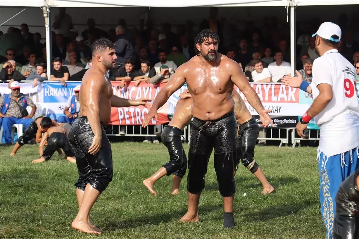 14. Geleneksel Sungurlu Yağlı Pehlivan Güreşleri Yapıldı