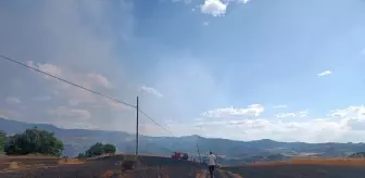 Çorum'da Yangın: 25 Dönüm Ekili Arazi Zarar Gördü
