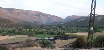 Anız Yangını Sebebiyle 55 Yaşındaki Adam Hayatını Kaybetti