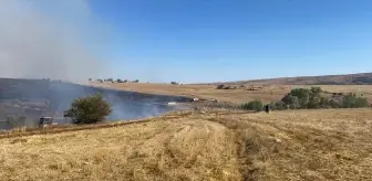 Çorum'un Alaca İlçesinde Yangın Çıkıyor