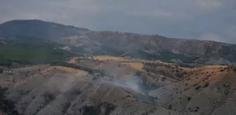 Çorum'un Dodurga İlçesinde Yangın: 10 Dekar Ağaçlık Alan Zarar Gördü