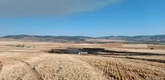 Çorum'da 3 Bin Dönüm Ekim Arazisi Yanarak Zarar Gördü