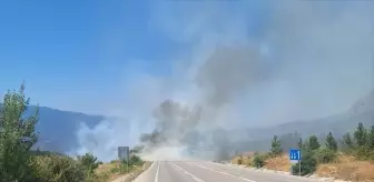 Kargı'da Orman Yangını Kısa Sürede Söndürüldü