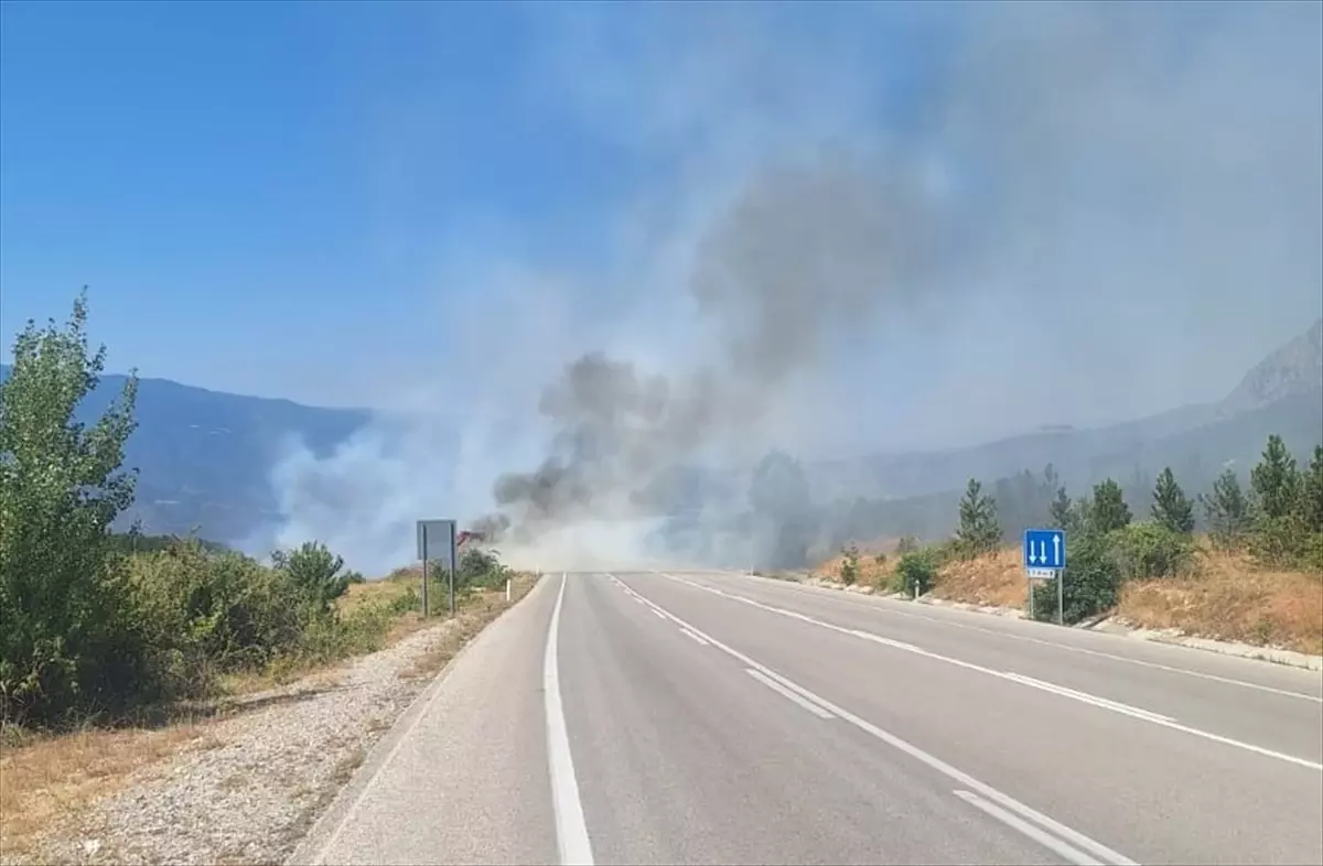 Kargı'da Orman Yangını Kısa Sürede Söndürüldü