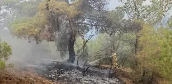 Kargı'da Yıldırım Düşmesi Sonucu Orman Yangını Söndürüldü