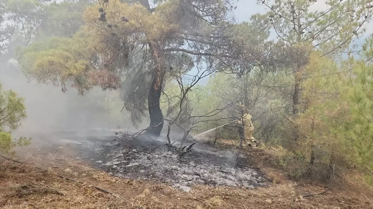 Kargı'da Yıldırım Düşmesi Sonucu Orman Yangını Söndürüldü