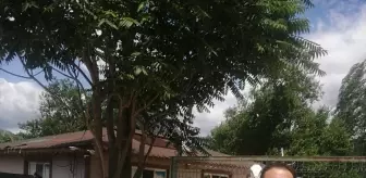 Osmancık'ta Yaralı Leylek Tedavi Altına Alındı