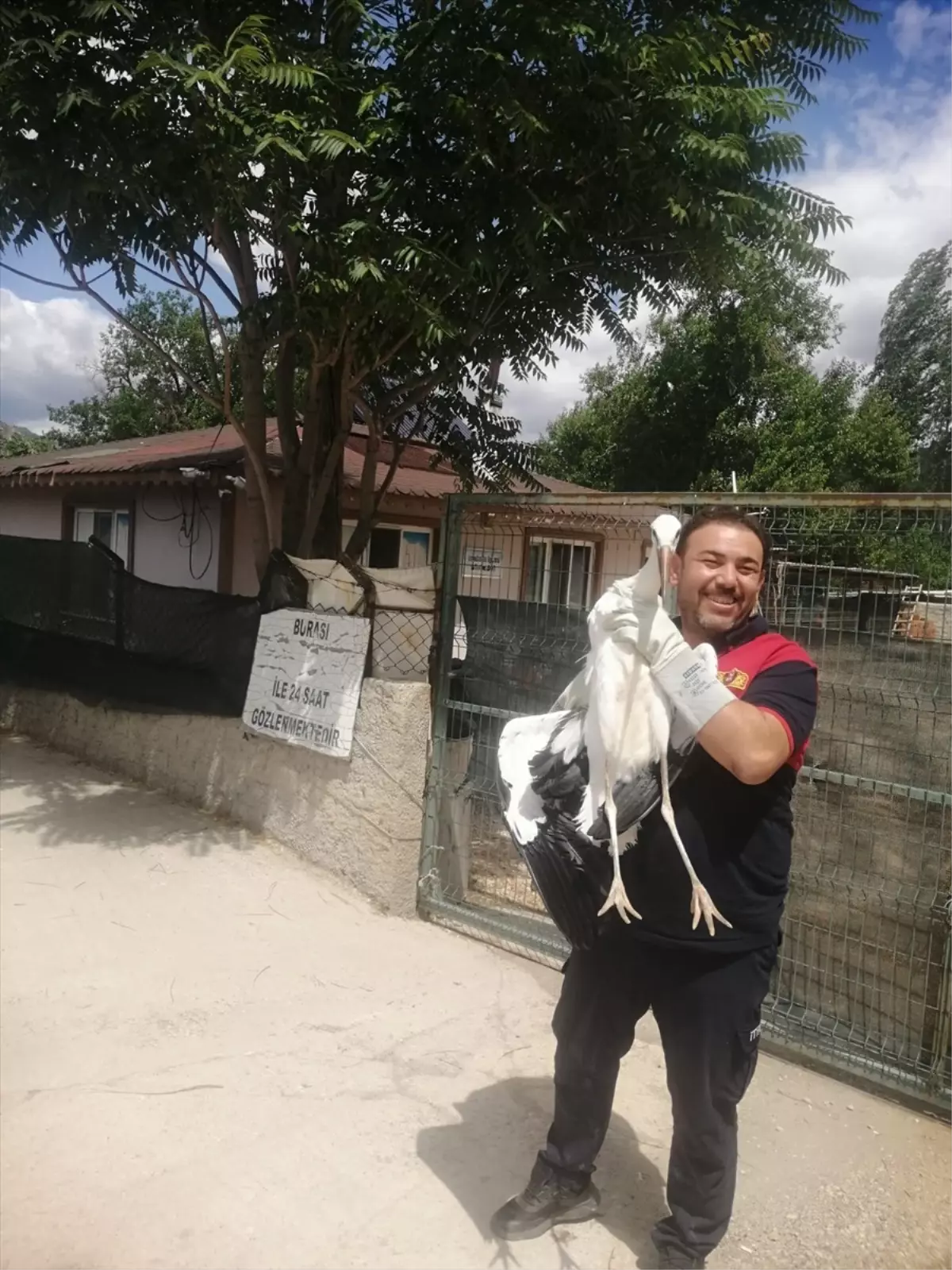 Osmancık'ta Yaralı Leylek Tedavi Altına Alındı