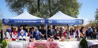 Çubuk Belediye Başkanı Demirbaş'tan Festival Eleştirilerine Yanıt