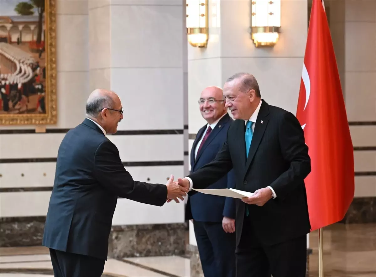Cumhurbaşkanı Erdoğan, 4 ülkenin büyükelçisini kabul etti
