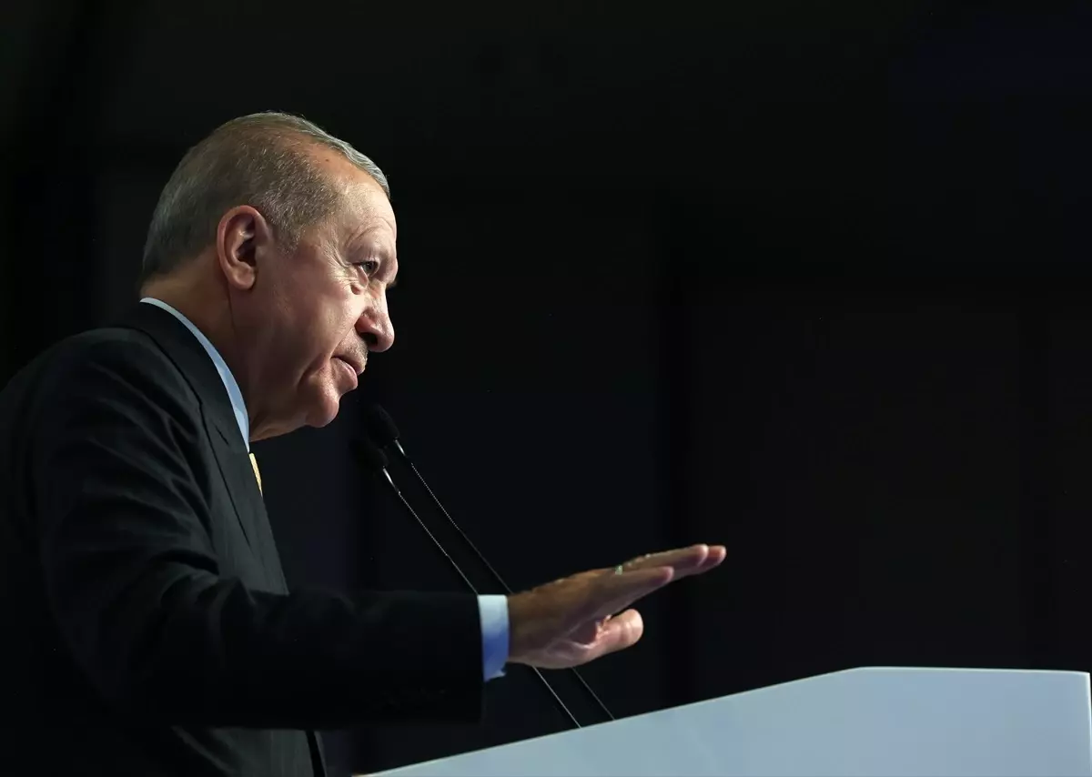 Cumhurbaşkanı Erdoğan, 'Beş Ressam Bir Şehir Canım İstanbul' sergisinin açılışında konuştu: (1)
