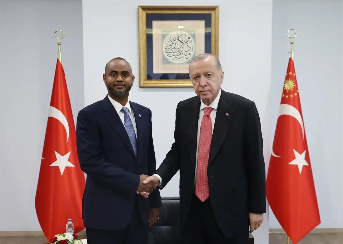 Cumhurbaşkanı Erdoğan, Somali Bakanı Abdulkadir Muhammed Nur'u Kabul Etti