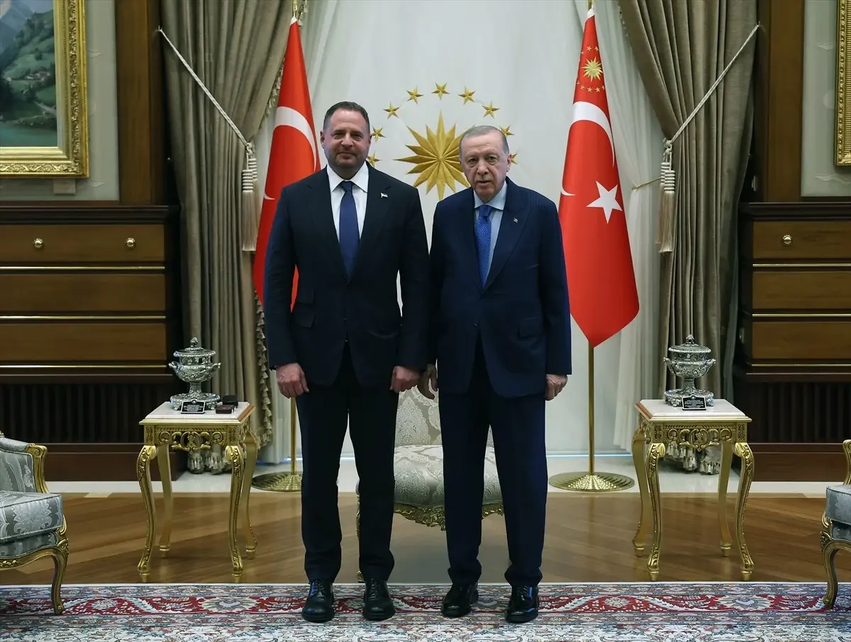 Erdoğan, Ukrayna Ofisi Başkanını Kabul Etti
