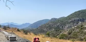 Datça'da Kuyuya Düşen Köpek Gönüllülerce Kurtarıldı