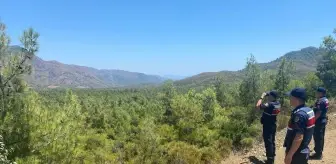 Datça'da Ormanlık Alana İzinsiz Girenlere İdari İşlem