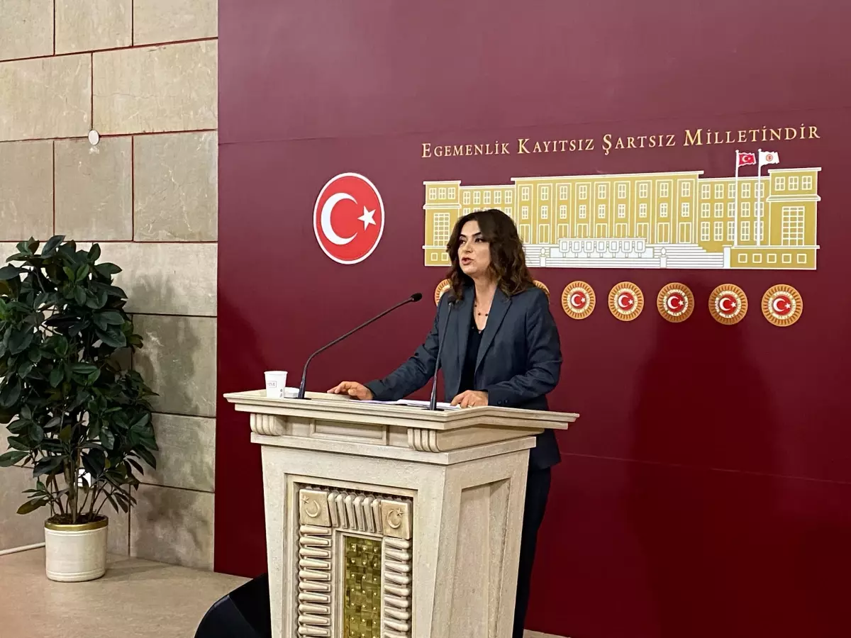 DEM Parti'den 10'uncu Yargı Paketi vurgusu