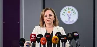 DEM Parti'den TBMM'deki Milli Dayanışma Komisyonu'na Değerlendirme