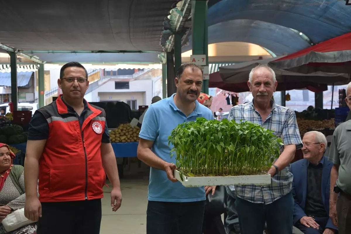 Demirci'de Çiftçilere 40 Bin Sebze Fidesi Dağıtıldı