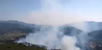 Denizli'de Tarım Alanında Başlayan Yangın Ormana Sıçradı