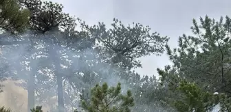 Denizli'de Orman Yangını Söndürüldü