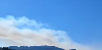 Denizli'deki Orman Yangınına Müdahale Devam Ediyor