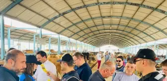 Denizli'de Kurban Pazarında Dolandırıcılık Denetimi