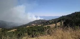 Denizli'de Orman Yangını Kontrol Altına Alındı