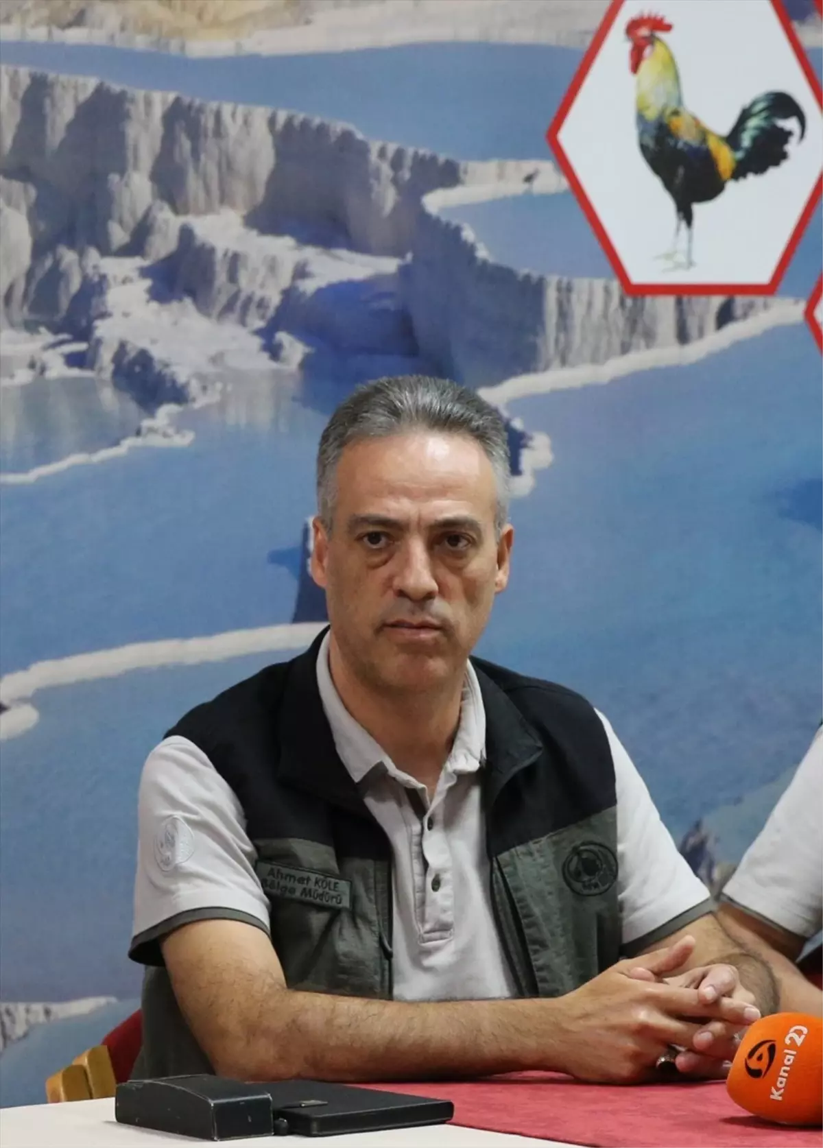 Denizli'de Orman Yangınlarından Zarar Gören Alanlara 2,5 Milyon Fidan Dikilecek