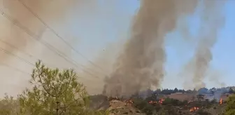 Denizli'nin Çal İlçesinde Orman Yangınına Müdahale Başlatıldı