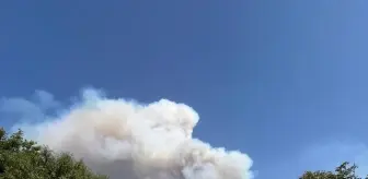 Pamukkale'de Orman Yangınına Havadan ve Karadan Müdahale