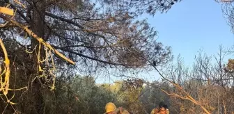 Denizli Tavas'ta Orman Yangını Kontrol Altına Alındı