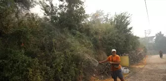 Malatyalı Çift, Alanya'daki Orman Yangınında Halk Dayanışması İçin Mücadele Ediyor