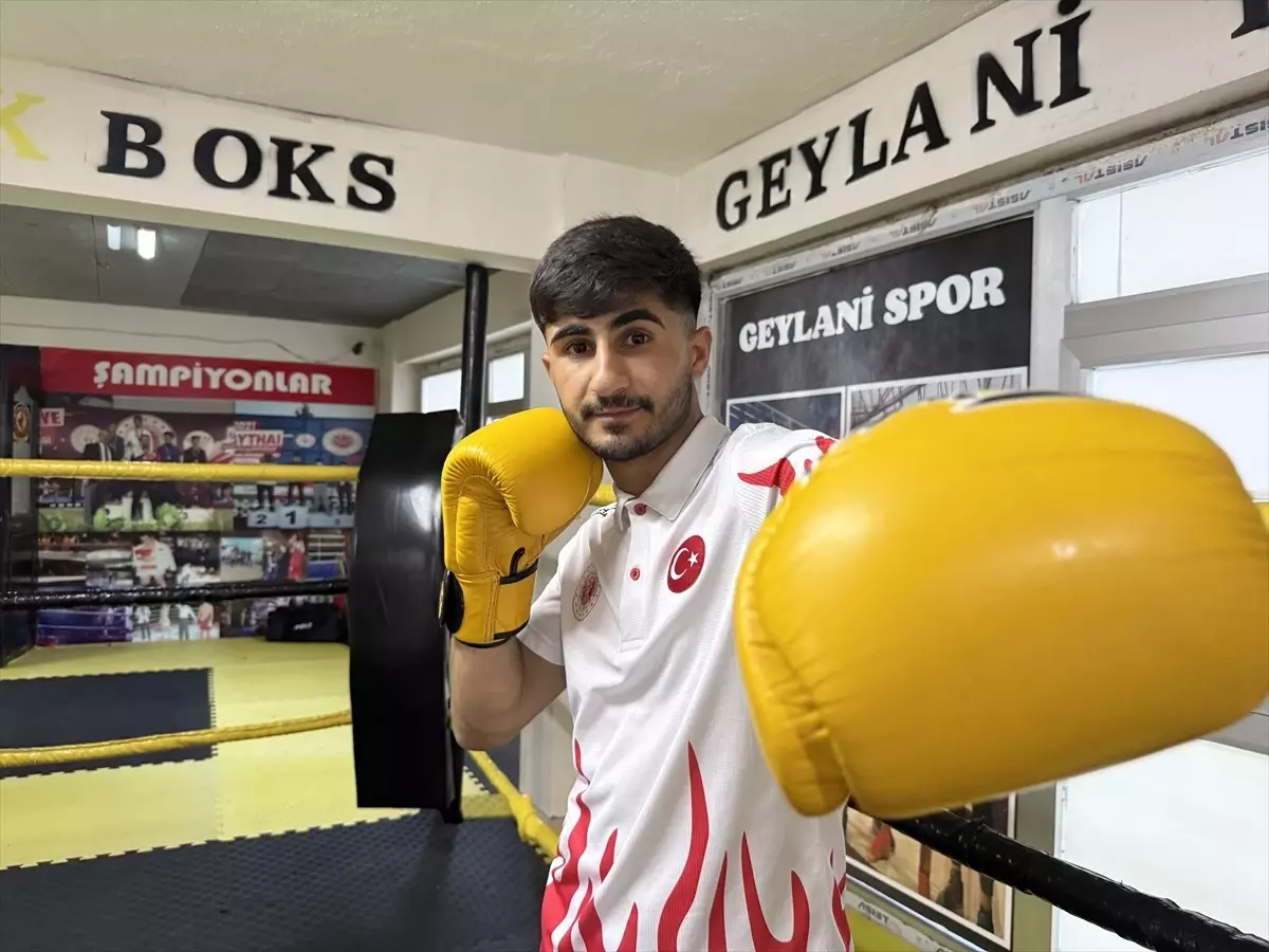 Cihan Doğu, Muaythai Dünya Şampiyonu Oldu