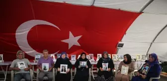 Diyarbakır anneleri, terör örgütü PKK'dan bir grubun silahlarını imha etmesinden memnun