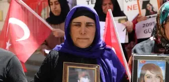 Diyarbakır Anneleri Eylemlerine Devam Ediyor