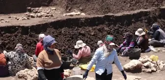 Diyarbakır'da Kadın Tarım İşçileri Tarih Kazıyor