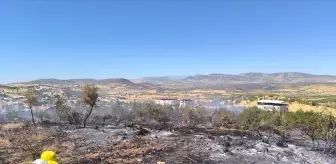 Diyarbakır’ın Lice ve Dicle ilçelerinde örtü yangınları söndürüldü