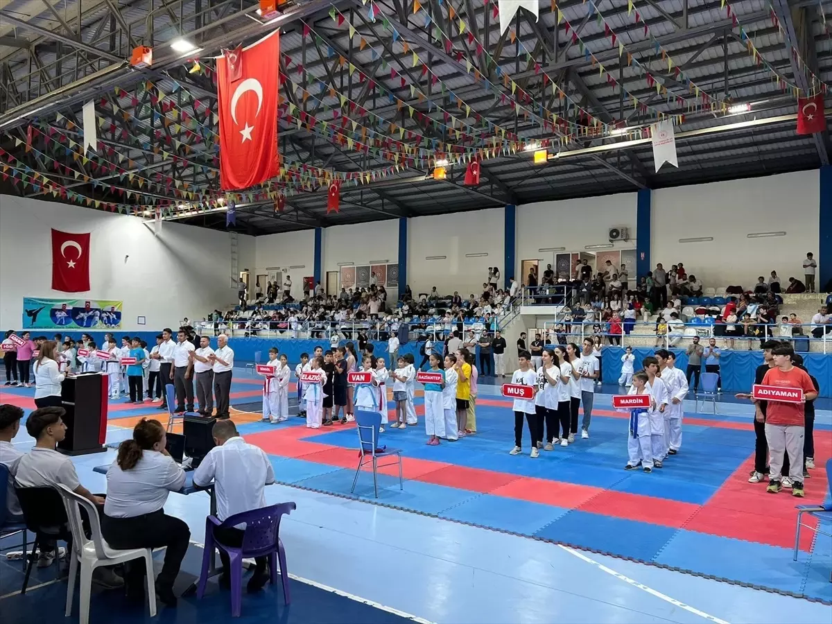 Çermik Geleneksel Bölge Karate Turnuvası Başladı