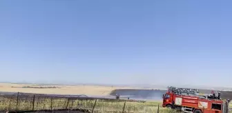 Diyarbakır'da Yangın: 1000 Dekar Ekili Alan Zarar Gördü