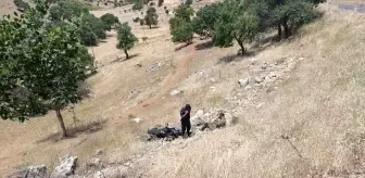 Diyarbakır'da Motosiklet Devrildi, Sürücü Yaralandı