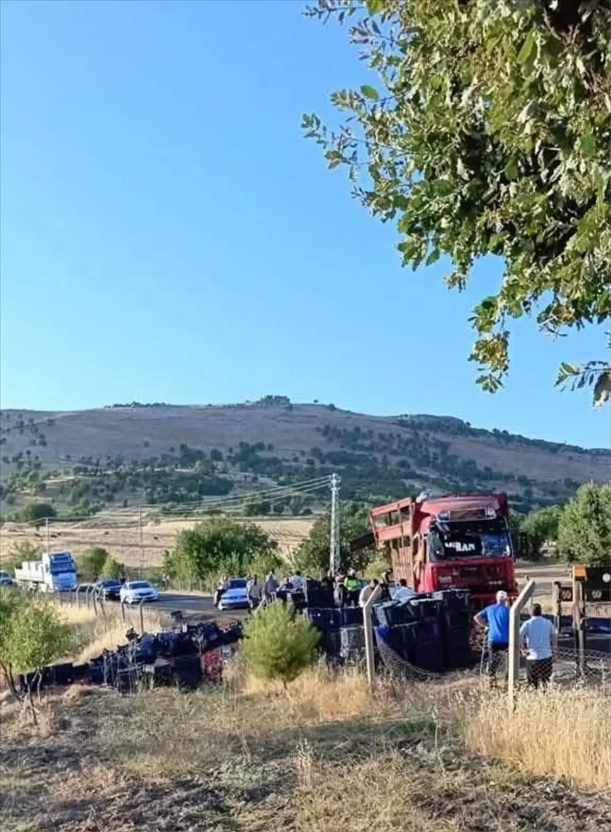 Domates Yüklü Tır Devrildi: Sürücü Yaralandı