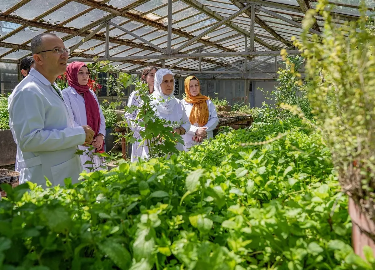 Diyarbakırlı Kadınlar Organik Sabun Üretimine Başladı