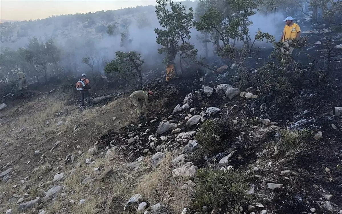 Diyarbakır'ın Lice İlçesinde Orman Yangını Kontrol Altına Alındı