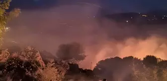 Diyarbakır'ın Lice İlçesinde Orman Yangını Çıktı